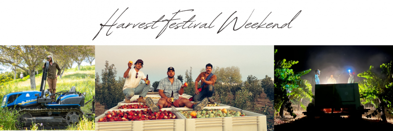 Harvest Festival Weekend 